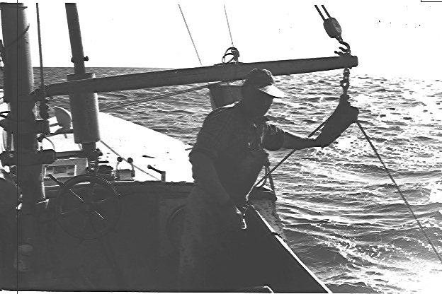Description of the image