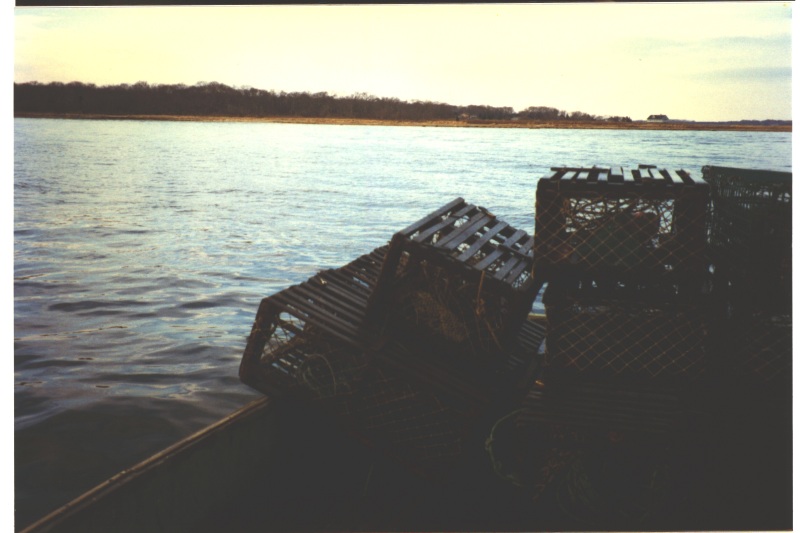 Description of the image