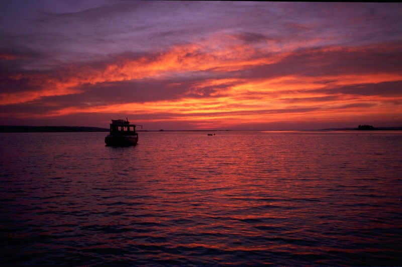 Description of the image