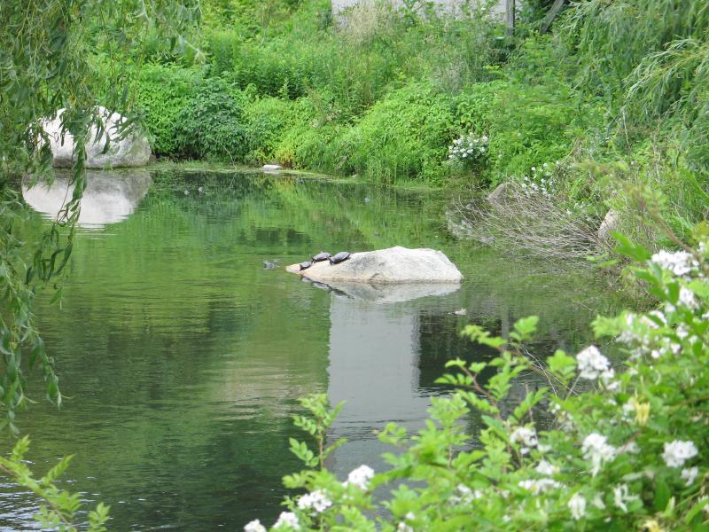 Description of the image