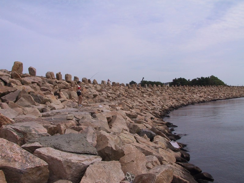 Description of the image