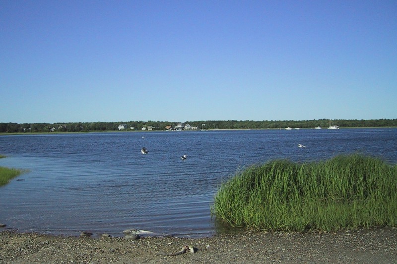 Description of the image