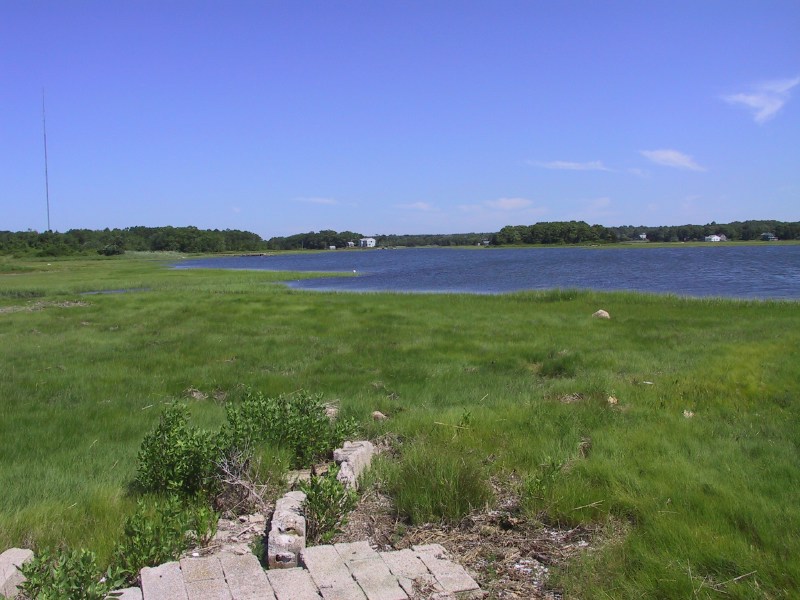 Description of the image