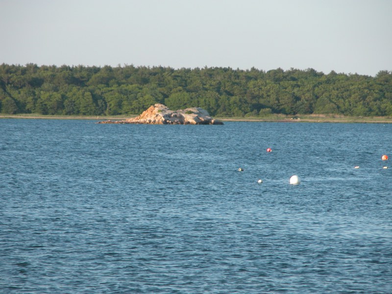 Description of the image
