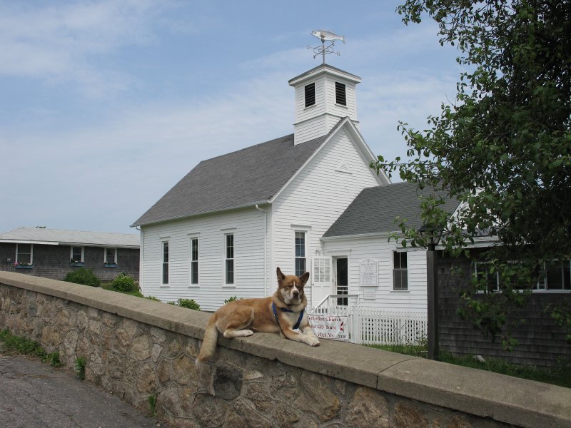 Description of the image