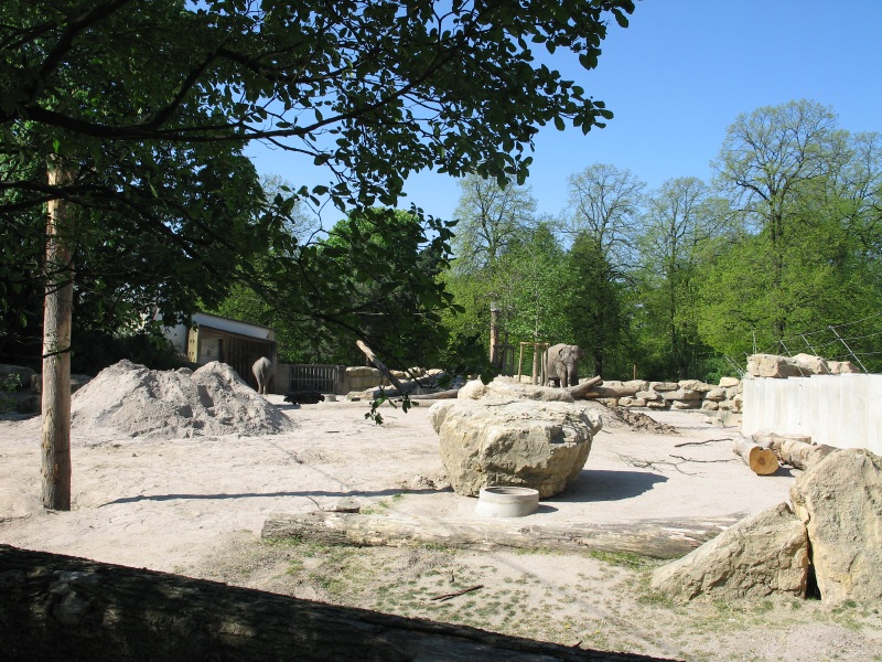 Description of the image