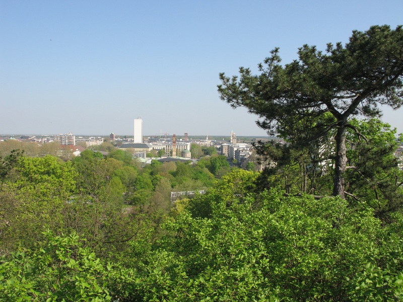 Description of the image