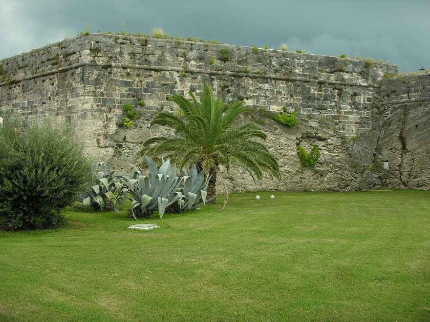 Description of the image