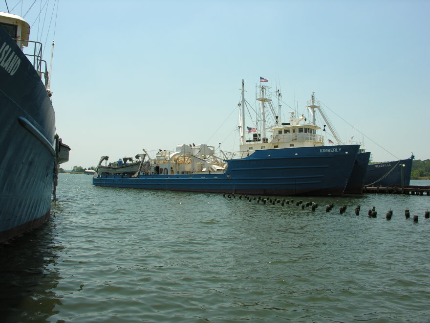 Description of the image