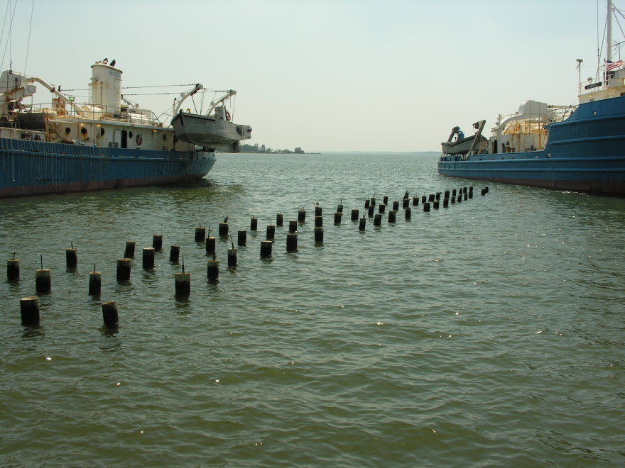 Description of the image
