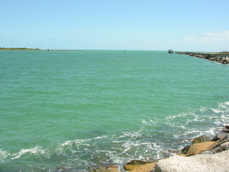 Description of the image