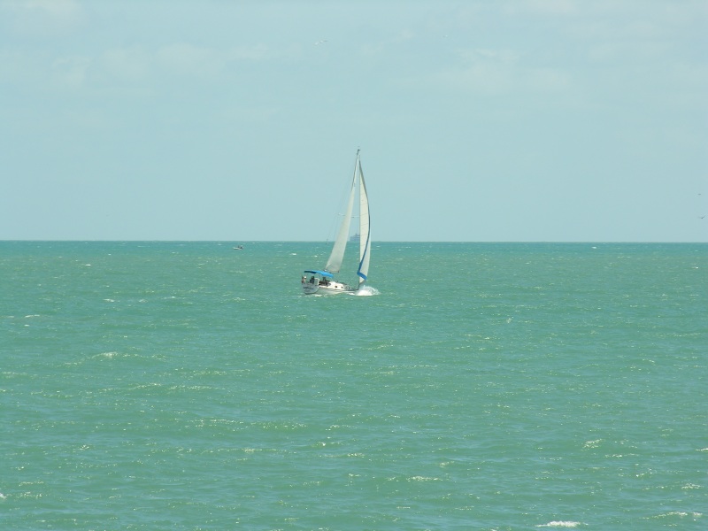 Description of the image