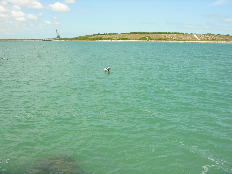 Description of the image