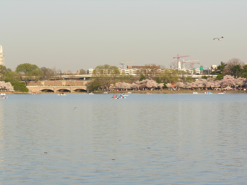 Description of the image