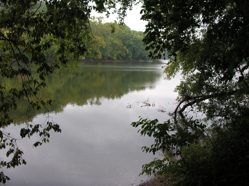 Description of the image