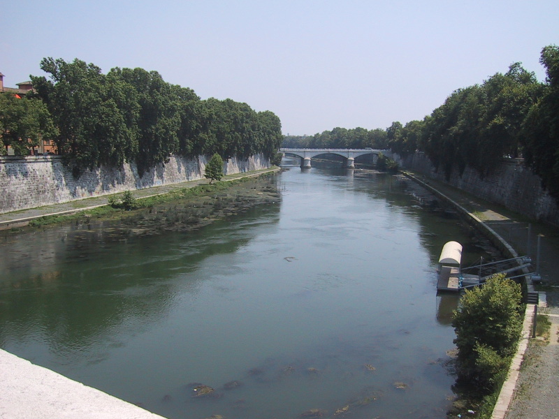 Description of the image