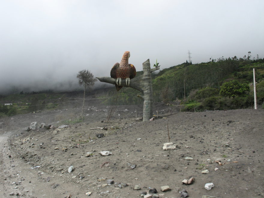 Description of the image
