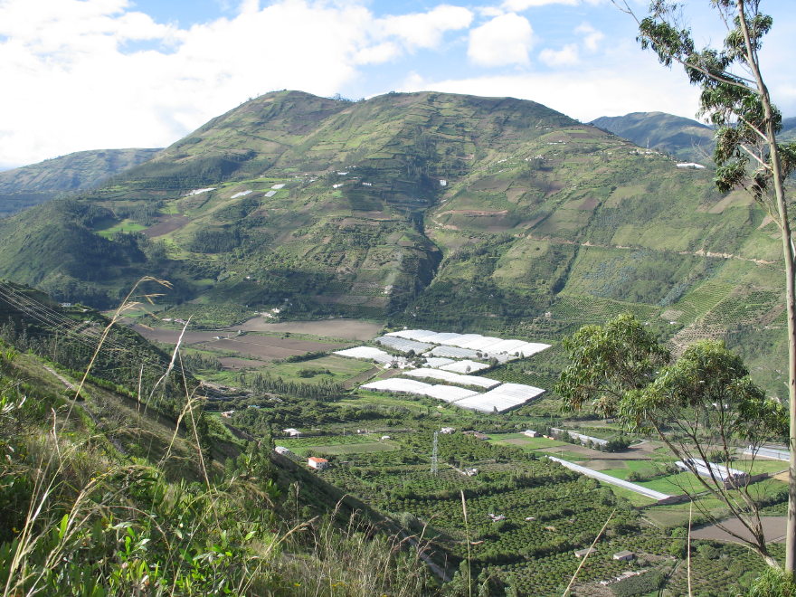Description of the image