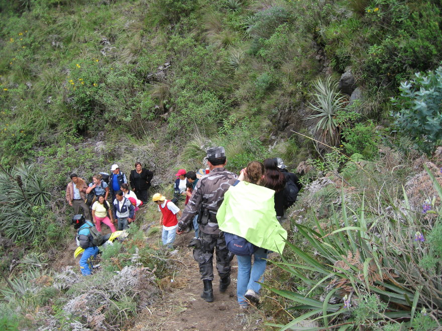 Description of the image