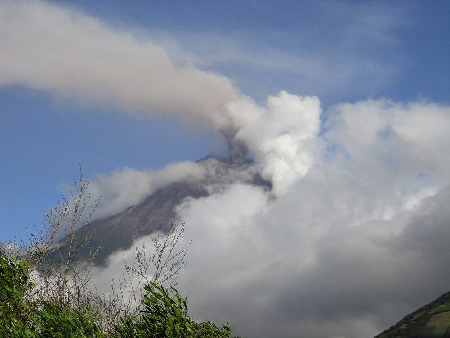 Description of the image