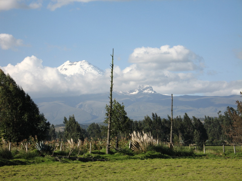 Description of the image